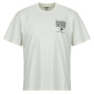 T-shirt Dickies LYNNDYL SS TEE EGRET Bianco T-shirt maniche corte Uomo - 1