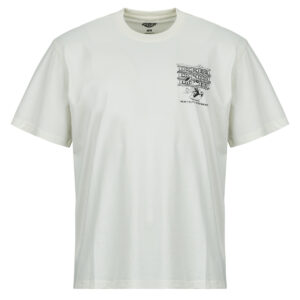 T-shirt uomo Dickies  LYNNDYL SS TEE EGRET  Bianco Dickies 196012962563