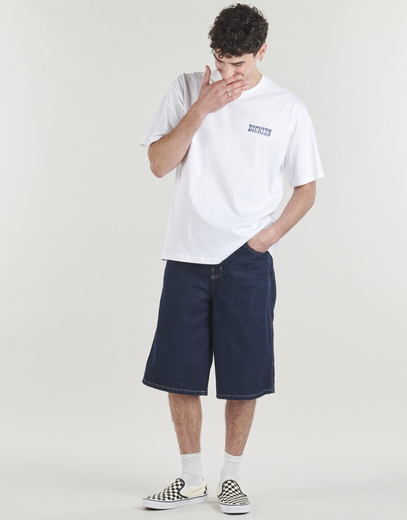 T-shirt Dickies PLAIN CITY SS TEE WHITE Bianco T-shirt maniche corte Uomo - 3