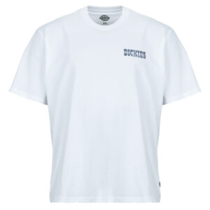 T-shirt uomo Dickies  PLAIN CITY SS TEE WHITE  Bianco Dickies 196012962099