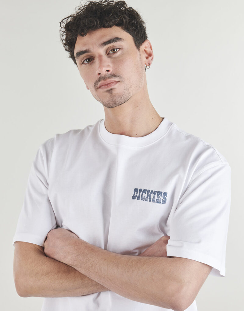 T-shirt Dickies PLAIN CITY SS TEE WHITE Bianco T-shirt maniche corte Uomo - 5