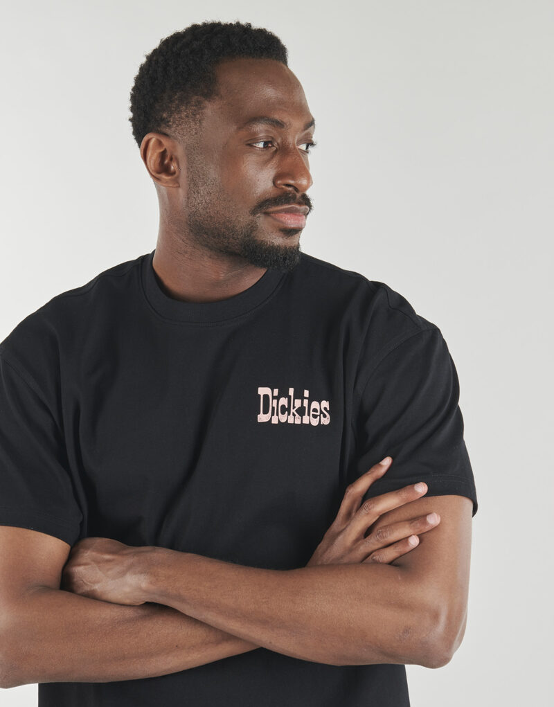 T-shirt Dickies POLK SS TEE BLACK Nero T-shirt maniche corte Uomo - 5