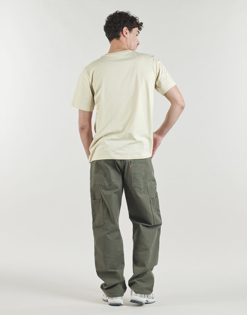 T-shirt The North Face EVOLUTION SIMPLE DOME REGULAR SHORT SL SUMMIT Beige T-shirt maniche corte Uomo - 4