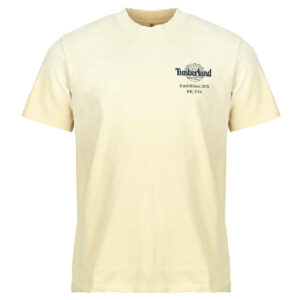 T-shirt uomo Timberland  SUNFADED BACK TREE LOGO GRAPHIC HW TEE Timberland 198266268248