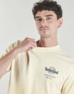 T-shirt Timberland SUNFADED BACK TREE LOGO GRAPHIC HW TEE Giallo T-shirt maniche corte Uomo - 5