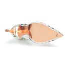 Ted Baker  HALLDEN  Bianco Décolleté Donna - 7