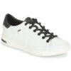 Geox  JAYSEN  Bianco -  Sneakers basse Donna