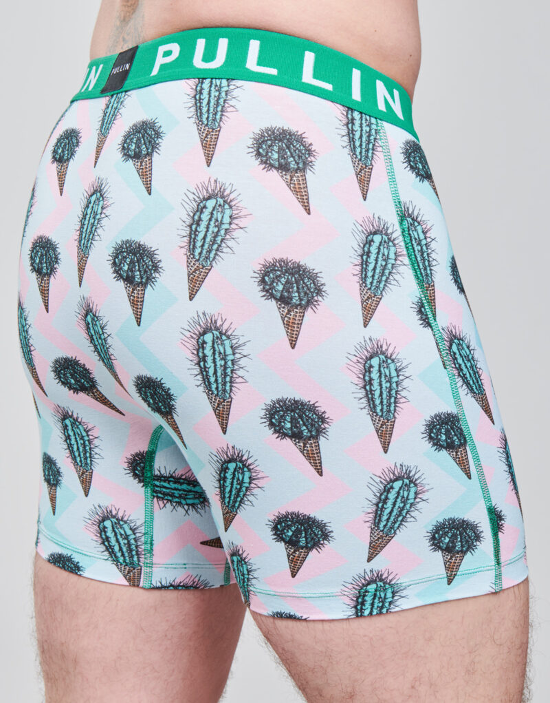 Pullin FASHION 2 bedruckte Baumwoll-Boxershorts f&uuml;r Herren, mehrfarbig - Gr&ouml;&szlig;e 4