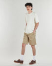 Pantaloni corti Dickies 247 SHORTS DESERT SAND Beige Pantaloni corti Uomo - 3