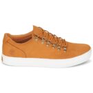 Timberland  ADV 2.0 CUPSOLE ALPINE OX  Marrone Sneakers Uomo - 2
