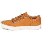 Timberland  ADV 2.0 CUPSOLE ALPINE OX  Marrone Sneakers Uomo - 4
