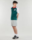 T-shirt adidas Preshirt Away Mexico Football Jersey Verde T-shirt maniche corte Uomo - 4