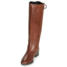 Geox FELICITY Marrone Stivali bassi Donna - 3