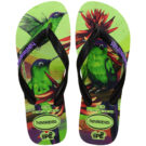 Havaianas IPE Verde Infradito Donna - 3