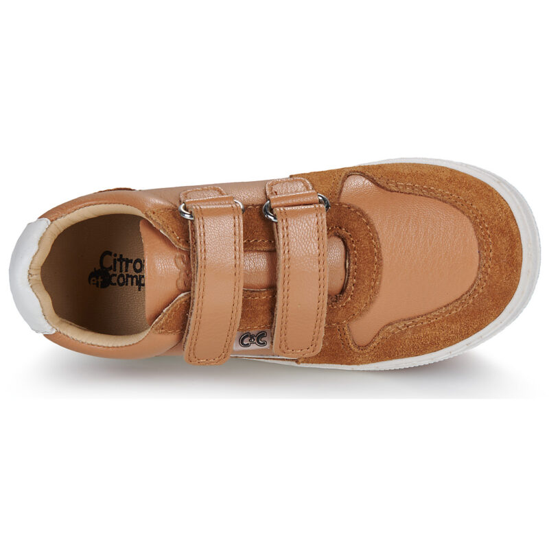 Citrouille et Compagnie BETEIZ Marrone Sneakers Bambina - 6