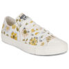 Converse  Chuck Taylor All Star  Multicolore -  Sneakers basse Donna