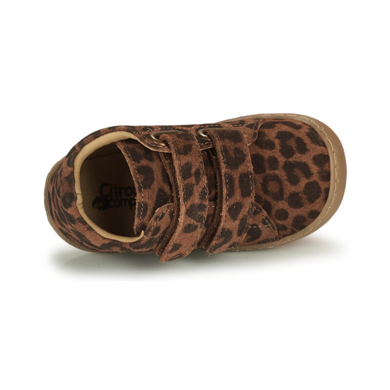 Citrouille et Compagnie JUKI Marrone Sneakers Bambina - 6