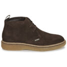 Barbour BLAINE CHUKKA Marrone Derby Uomo - 2