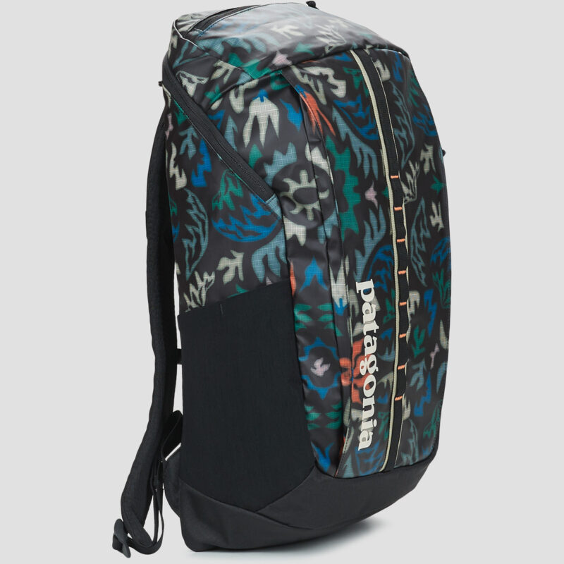Uomo Patagonia BLACK HOLE PACK 25L Multicolore Zaino Uomo - 2