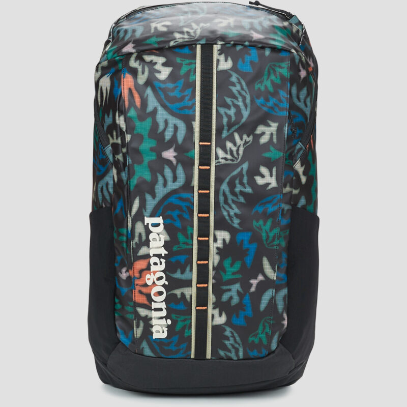 Uomo Patagonia BLACK HOLE PACK 25L Multicolore Zaino Uomo - 1