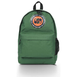 Zaini uomo Quiksilver  EVERYDAY  Verde Quiksilver 3616752458227