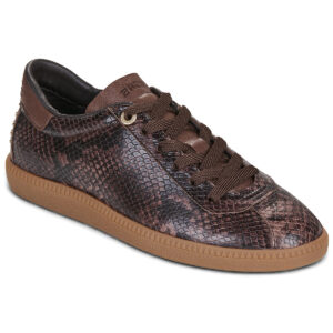 Sneakers basse    BOB-BIE 66594  Marrone