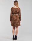 Abito corto Betty London PARRI Marrone Abiti corti Donna - 4