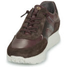Pitillos 11603 Marrone Sneakers basse Donna - 3