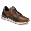 Pantofola d'Oro TREVISO RUNNER UOMO LOW Marrone Sneakers Uomo - 1