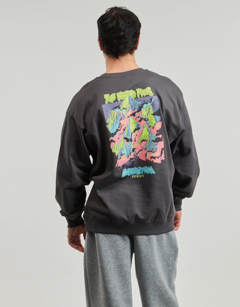 The North Face U EXPEDITION CELEBRATION OVERSIZED Grigio Felpa Abbigliamento - 2