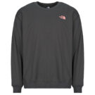The North Face U EXPEDITION CELEBRATION OVERSIZED Grigio Felpa Abbigliamento - 1