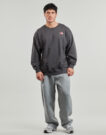 The North Face U EXPEDITION CELEBRATION OVERSIZED Grigio Felpa Abbigliamento - 3