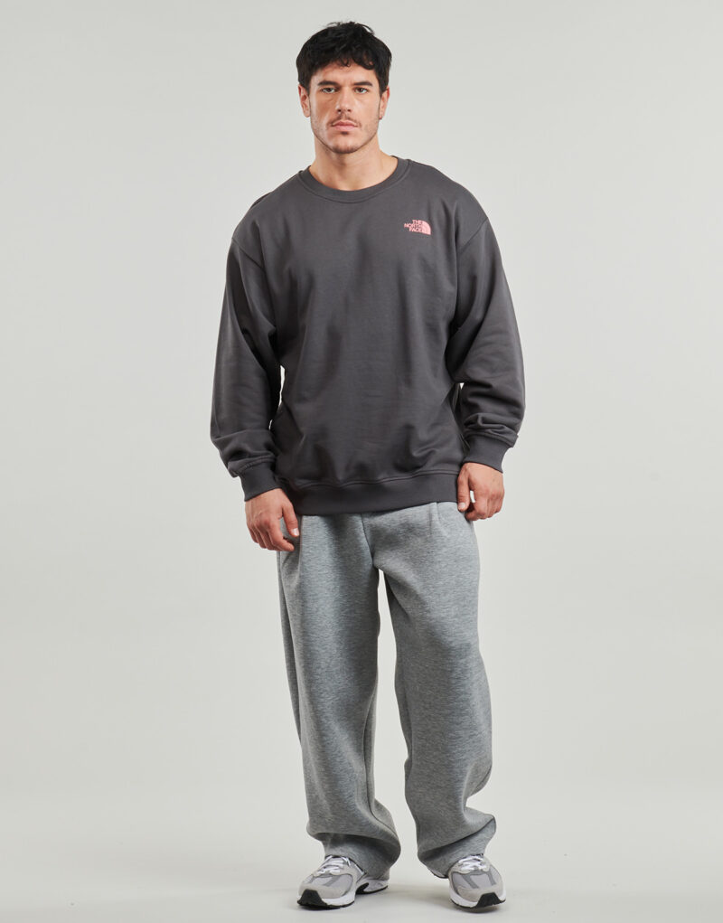 The North Face U EXPEDITION CELEBRATION OVERSIZED Grigio Felpa Abbigliamento - 3