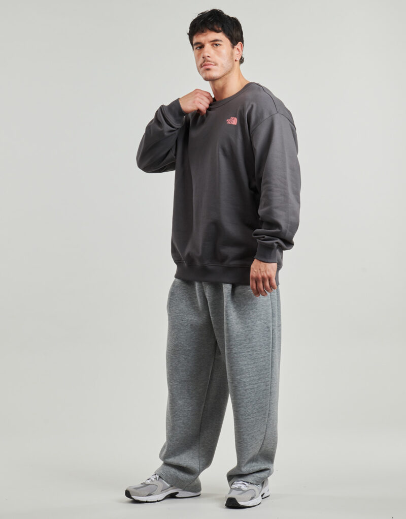 The North Face U EXPEDITION CELEBRATION OVERSIZED Grigio Felpa Abbigliamento - 4
