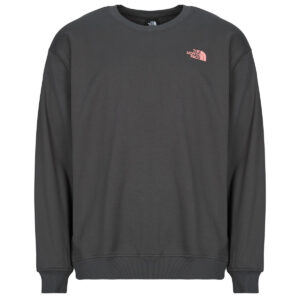 Felpe uomo The North Face  U EXPEDITION CELEBRATION OVERSIZED  Grigio The North Face 197804311347