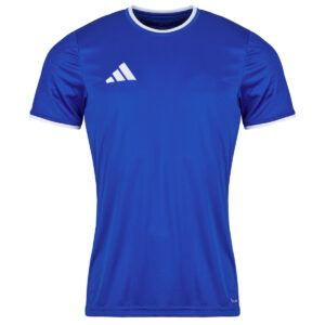 Magliette sportive uomo adidas  Entrada26 Jersey  Blu adidas