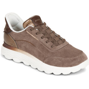 Sneakers basse    D SPHERICA PLUS  Marrone