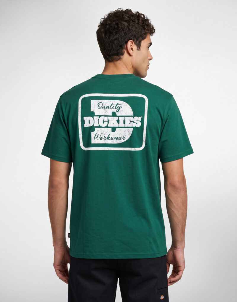 Dickies MINDEN SS TEE Verde T-shirt Uomo - 2