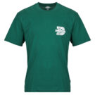Dickies MINDEN SS TEE Verde T-shirt Uomo - 1