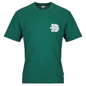 T-shirt uomo Dickies  MINDEN SS TEE  Verde Dickies 198269652686