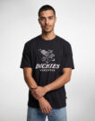 Dickies PINE SS TEE Nero T-shirt Uomo - 2