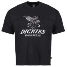 Dickies PINE SS TEE Nero T-shirt Uomo - 1