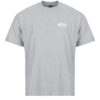 T-shirt uomo Vans  DOUBLE STANDARD SS TEE  Grigio Vans 198266605548